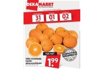 vers voordeel handsinaasappelen