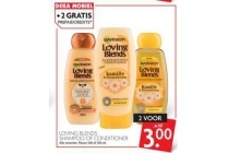 garnier loving blends