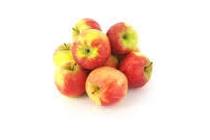 elstar appels in zak