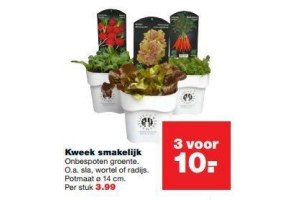 kweek smakelijk