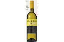 vina ducaro wit