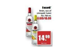 bacardi
