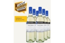 mezzacorona pinot grigio trentino doc 6 x 75cl