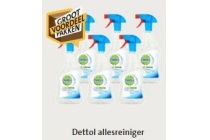 dettol allesreiniger