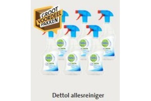 dettol allesreiniger