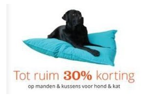 manden en kussens voor hond en kat