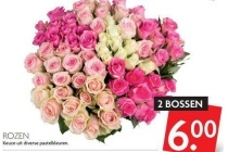 rozen