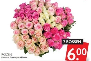 rozen
