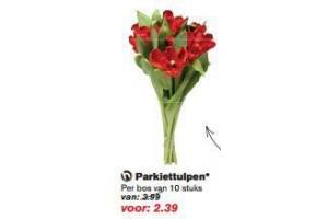 parkiettulpen