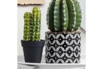 kunststof cactus