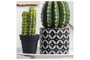 kunststof cactus