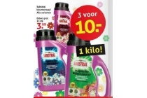 substral bloemenzaad