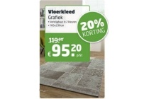 vloerkleed grafiek