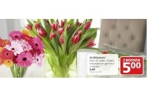 snijbloemen