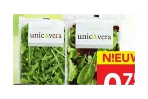 rucola of mesclun sla ongewassen
