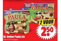 dr oetker paula vla