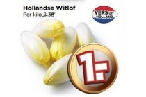 hollandse witlof