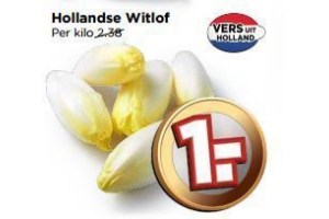 hollandse witlof