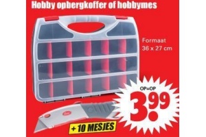 hobby opbergkoffer of hobbymes