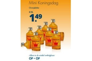 mini koningsdag