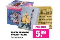 frozen of minions opbergstoeltje