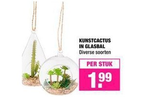 kunstcactus in glasbal