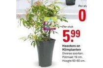 heemsters en klimplanten