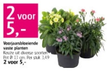 voorjaarsbloeiende vaste planten