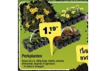 perkplanten