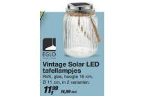 vintage solar led tafellampjes