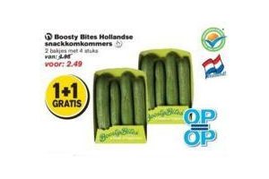 boosty bites hollandse snackkomkommers