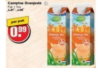 campina oranje vla
