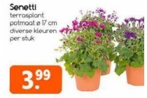 senetti