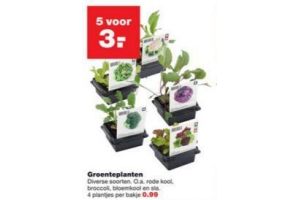 groenteplanten