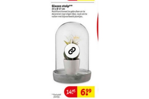 glazen stolp