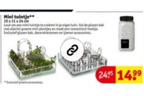 mini tuintje