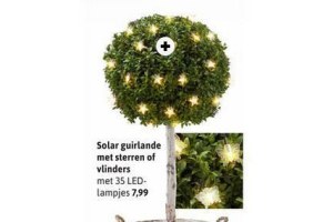 solar guirlande met sterren of vlinder