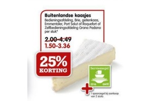 buitenlandse kaasjes