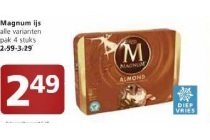 alle varianten magnum ijs