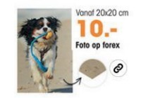 foto op forex