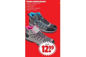 stevige wandelschoenen