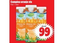 campina oranje vla