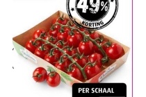 passion tomaten