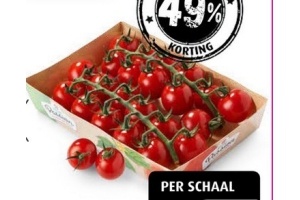 passion tomaten