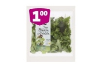 jumbo eikenbladsla jonge bladsla met veldsla of rucola romaine sla mesclun melange of gemengde salade