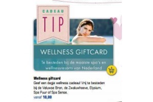 wellness giftcard