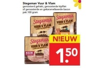 stegeman vuur en vlam