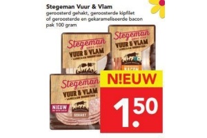 stegeman vuur en vlam