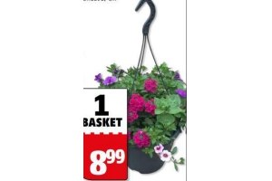 hanging basket