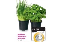 basilicum bieslook en peterselie